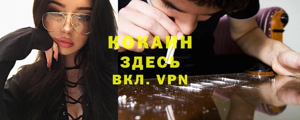 прущий лед Дмитриев