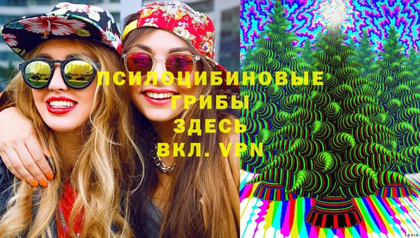 ПСИЛОЦИБИНОВЫЕ ГРИБЫ Всеволожск