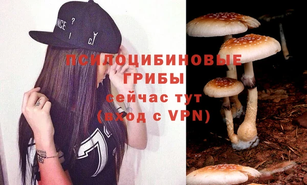 бутират Дмитровск
