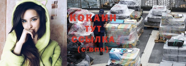прущий лед Дмитриев