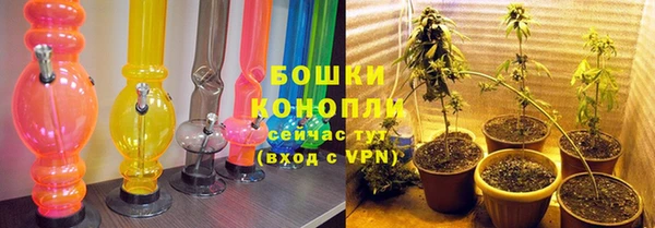 ПСИЛОЦИБИНОВЫЕ ГРИБЫ Всеволожск