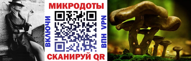 это официальный сайт  наркотики  Железногорск-Илимский  Галлюциногенные грибы Magic Shrooms 